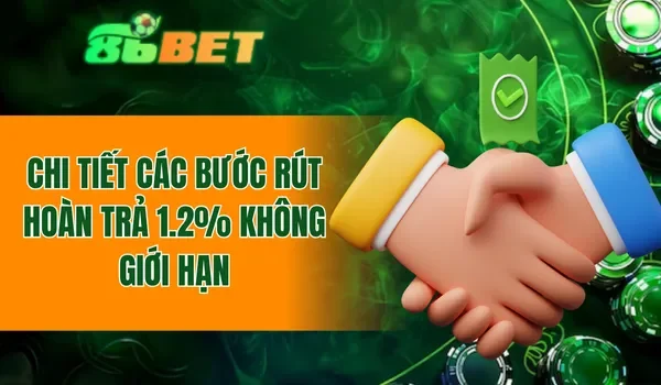 Chi tiết các bước rút hoàn trả 1.2% không giới hạn