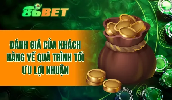 Đánh giá của khách hàng về quá trình tối ưu lợi nhuận