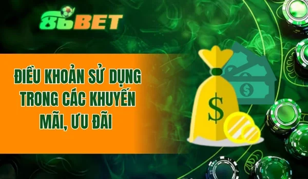 Điều khoản sử dụng trong các khuyến mãi, ưu đãi