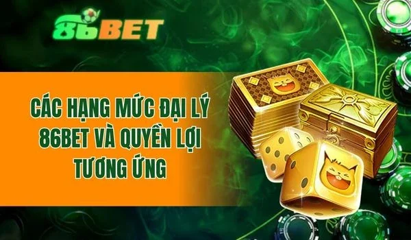 Khám phá về hạng mức đại lý và quyền lợi tương ứng