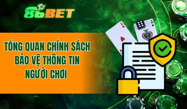 Tổng quan chính sách bảo vệ thông tin người chơi